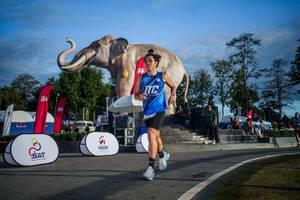 BIB: 
                            <button type="button" onclick="openModal(26541804)" class="btn btn-primary btn-sm float-right btn-popup" data-toggle="modal" data-target=".modal-high-quality">
                        <i class="fas fa-shopping-cart"></i> Add to Cart
                    </button>
                                            <button type="button" onclick="isThisMe(26541804, true)" class="btn btn-success btn-sm float-right btn-popup btn-isme hidden" data-toggle="tooltip" data-placement="bottom" title="นี่คือรูปของคุณใช่ไหม คลิกที่นี่เพื่อเอาเข้าอัลบั้ม">
                        <i class="fas fa-plus"></i> Add to album
                    </button>
                    <button type="button" onclick="isThisMe(26541804, false)" class="btn btn-warning btn-sm float-right btn-popup btn-isnotme hidden">
                        <i class="fas fa-ban"></i> Remove from album
                    </button>